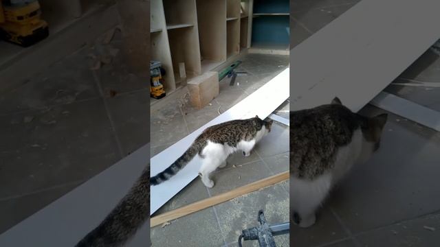 Проверяем пластиковую вагонку на прочность и износостойкость:) смотреть онлайн