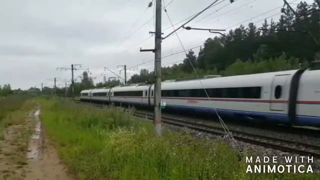 Направления скоростных поездов на горьковской железной дороге | Российские железные дороги смотреть онлайн