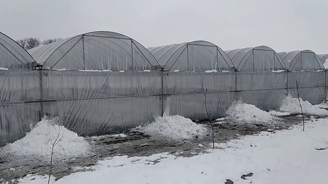 #11Снег больше 40см.Как выдержали блочные теплицы. На грани. Спасибо всем кто помогал. смотреть онлайн
