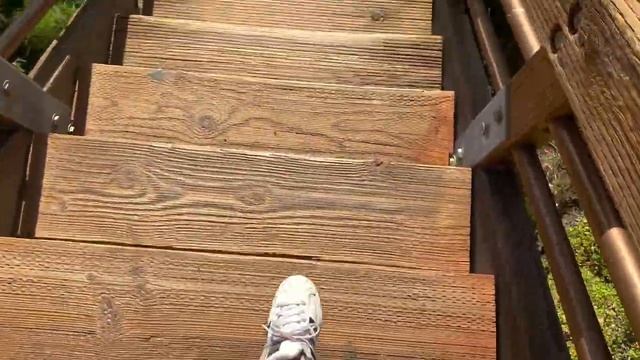 short but sweet dana point vlog | Artsy Girl Adventures смотреть онлайн