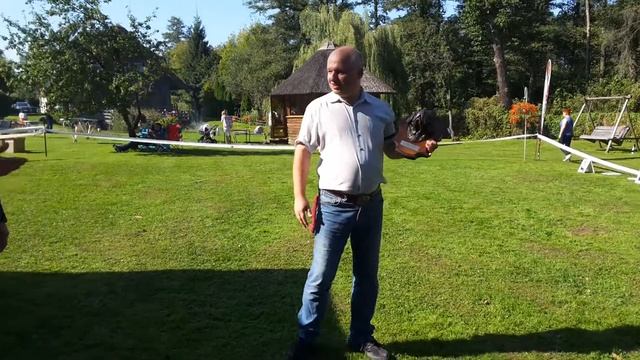 Выставка, Сенбернар. Приз -Boss Happines 10.09.16 Латвия Дмитрий Прозоров 141305 смотреть онлайн