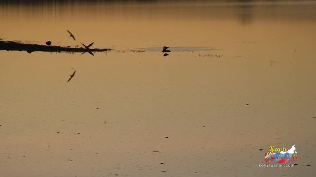 С.Есенин - "На небесном синем блюде" (Rus/Eng subs) смотреть онлайн