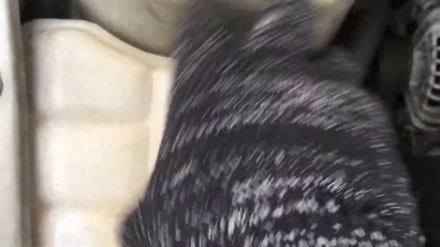 S 3080 ДВС (Двигатель) Ford Mondeo 2 2.0i NGB смотреть онлайн