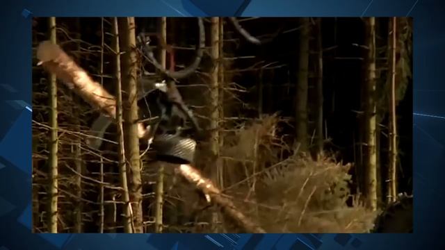 Nuptials Called Off By Skyworks & PMC Sierra. Ebola Vax? FDA Panel Drives Biotech Again