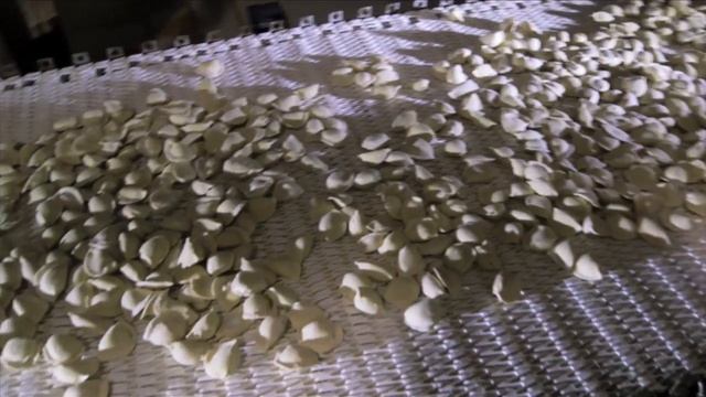 Технопул-Р Tecnopool