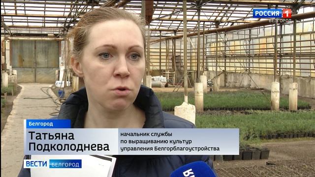 В Белгороде в 2021 году реализуют 24 «зеленых» проекта смотреть онлайн