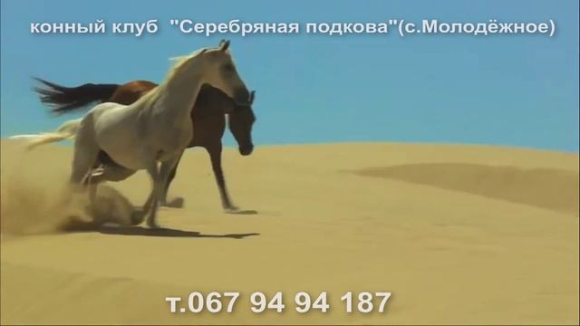 конный клуб серебряная подкова смотреть онлайн