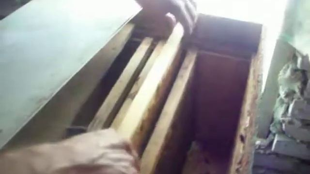 Установка ловушки для роев на чердаке дома?Как поймать рой пчел?ПРЕКРАСНЫЙ РЕЗУЛЬТАТ? смотреть онлайн