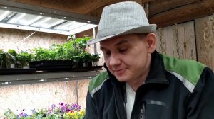 Сеем цветы в полных подробностях/Грядки в шляпе и Петуниянск