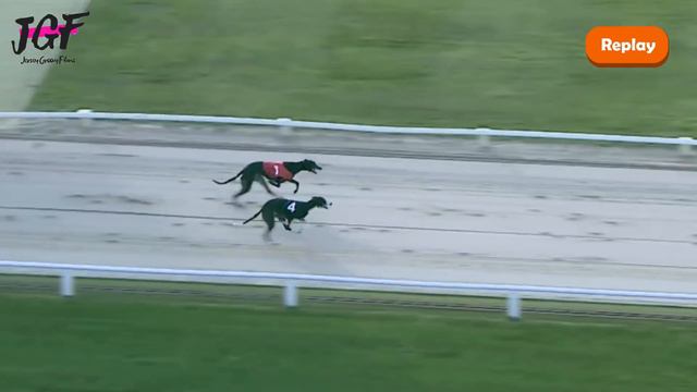 British greyhound racing - Track race 480m смотреть онлайн