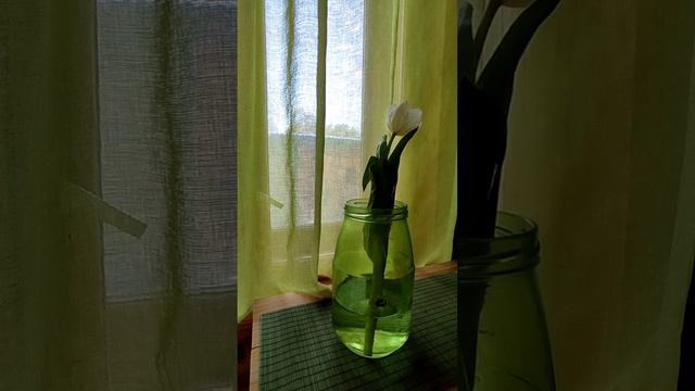 ХОЧУ ПЕРЕЕХАТЬ В ДЕРЕВНЮ, НО БОЮСЬ (не видео, а слышио) смотреть онлайн
