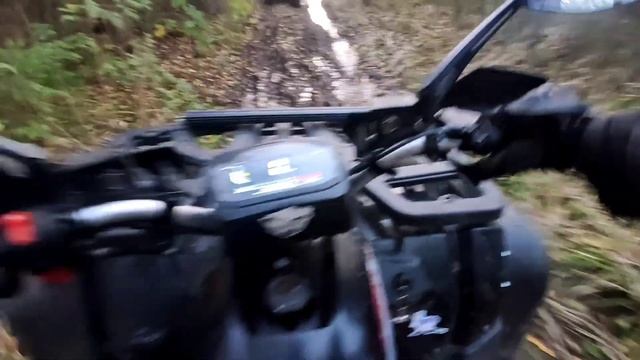 ГРЯЗЕВЫЕ ПОКАТУШКИ / ПОЛОМКА / AVANTIS HUNTER 200 смотреть онлайн