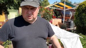 Клубника ФРИГО , как вырастить рассаду.