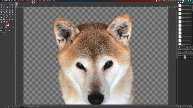 "Gimp Background Transparent" How to remove a background / Cut out image / Background removal смотреть онлайн