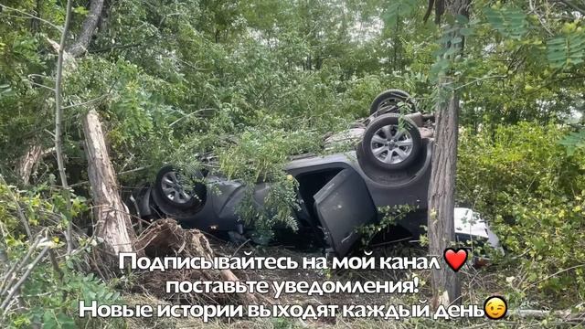 Привет! Не ждали? Я вернулась! Куда? Место твоё уже занято!