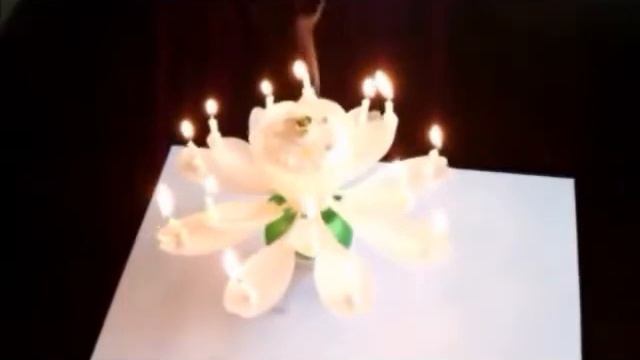 Action Candle - Lotus birthday candle and Soccer Ball birthday cake candle смотреть онлайн