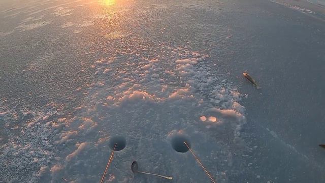 Зимняя рыбалка на навагу на Чукотке (пгт. Эгвекинот) 2023. смотреть онлайн