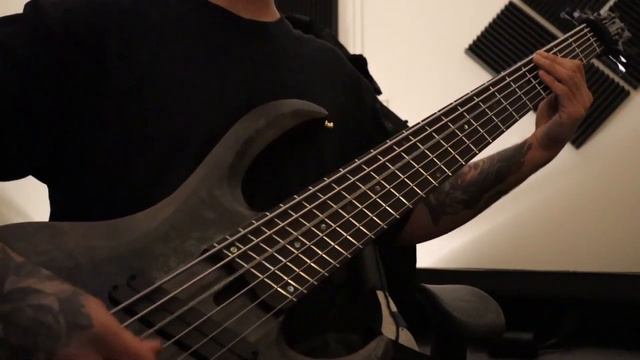 The Ghost of You - My Chemical Romance Bass Cover смотреть онлайн