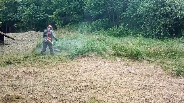 STIHL FS 460 / kihívás смотреть онлайн