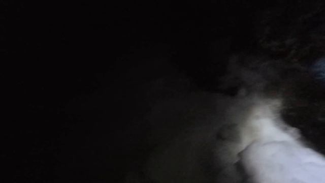 Рыбалка! Налим-мутант! Река Вилюй! Якутия! 09/11/2021 смотреть онлайн