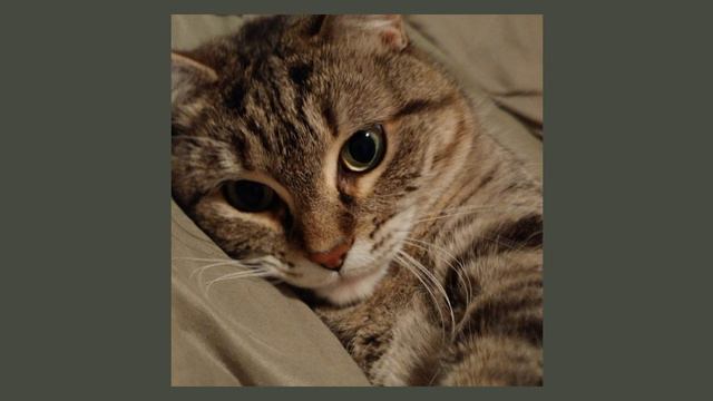 jerry heil - пошта (speed up) смотреть онлайн