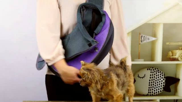 Переноска для животных смотреть онлайн