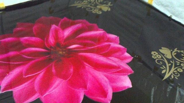 Экзотика под ногами, наливные полы 3d смотреть онлайн