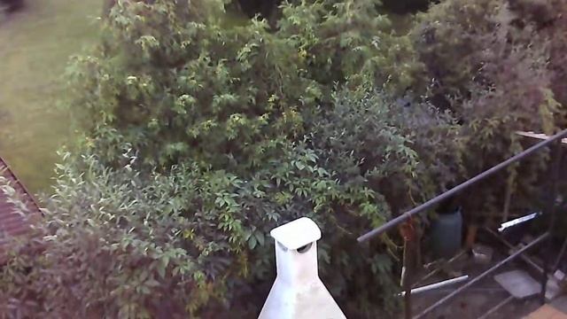 SQ11 MINI DV Footage test. смотреть онлайн