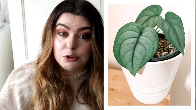 Växterna jag vill ha 2022 смотреть онлайн