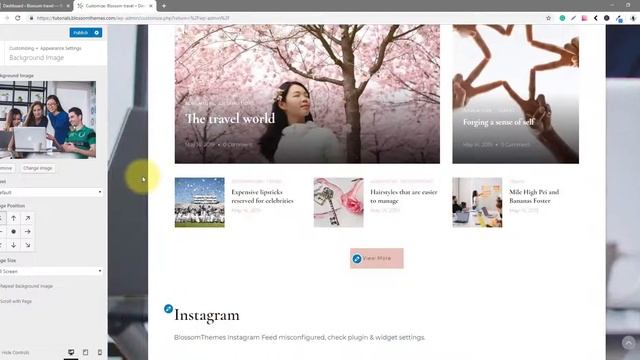 Step 9: How to change website background? | Blossom Travel Free WordPress Theme смотреть онлайн