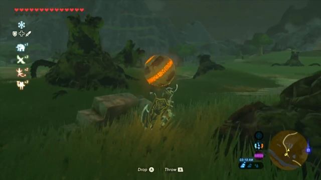 What Happens When You Use A Puzzle Ball in Different Area? [Zelda BOTW] смотреть онлайн