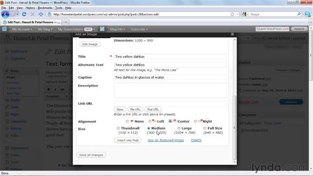 Adding images in a blog post in wordpress. WordPress Essential Training | video 014 смотреть онлайн