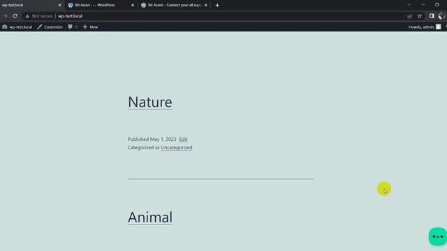 How To Add A Search Button To Search WordPress Blog, Post, Page On Your Website Using Bit Assist смотреть онлайн