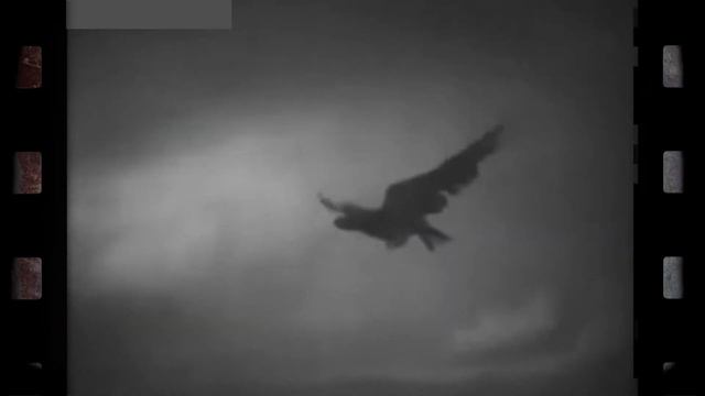 история казахстанского кино ролик смотреть онлайн