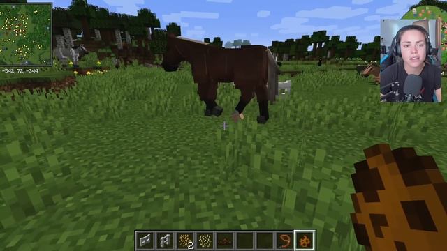 MASSIVE *NEW* EQUESTRIAN MOD For MINECRAFT You CANNOT MISS! *Star Worm Equestrian Mod*