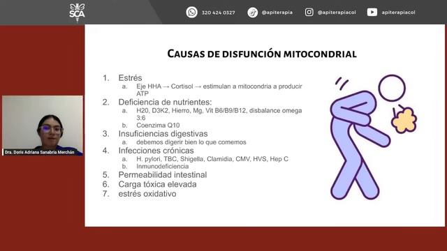 ENERGÍA MITOCONDRIAL: La Clave para Desactivar ENFERMEDADES CRÓNICAS | BUZZ A BUZZ #58 смотреть онлайн