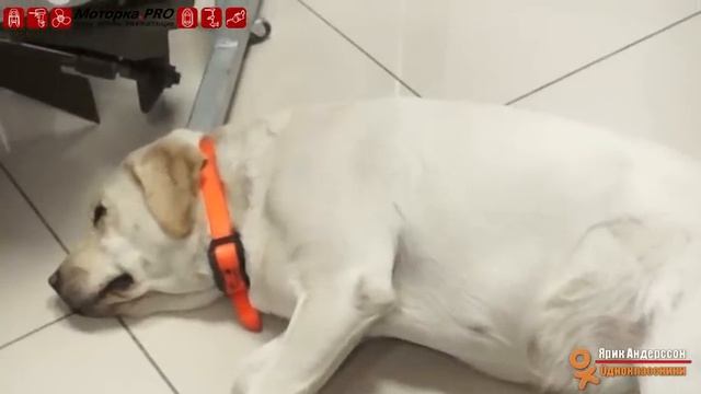 Чем отличаються: Sea-Pro OTH 9.9 S ....Sea-Pro T 9.8S и еще? смотреть онлайн