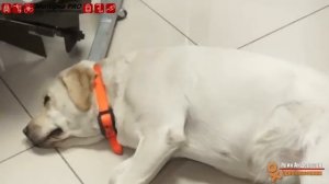 Чем отличаються: Sea-Pro OTH 9.9 S ....Sea-Pro T 9.8S  и еще?