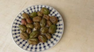 Актинидия - какая ягода после разморозки