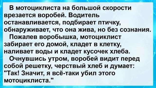 Сборник Остреньких Анекдотов для Настроения! Рыбаки Спорят на Рыбалке! Угар! смотреть онлайн