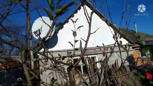 НОВОГОДНИЕ СКИДКИ НА РАССАДУ ЖДУТ ВАС! УСПЕЙТЕ ЗАКАЗАТЬ ДО НОВОГО ГОДА смотреть онлайн