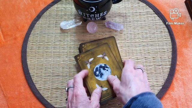 Seasons of the Witch Beltane Oracle #rockpoolpublishing смотреть онлайн