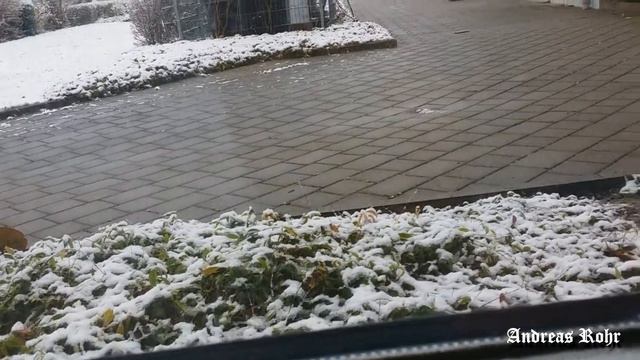Второй день Рождества. Senden 26.12.2014 смотреть онлайн