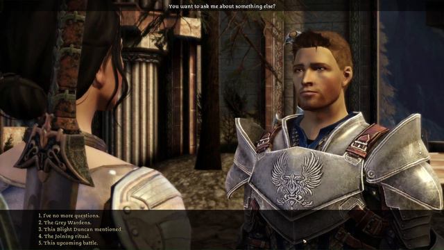 Dragon Age Origins 13 - Asking Alistair a few questions смотреть онлайн