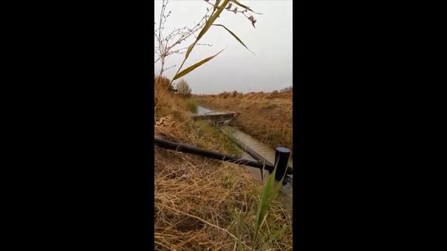 Работа водяного насоса Гидротаран Рогозина ГТ- 500 с плотиной. смотреть онлайн