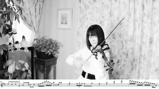 Canon Rock/JerryC/E.Violin Cover
