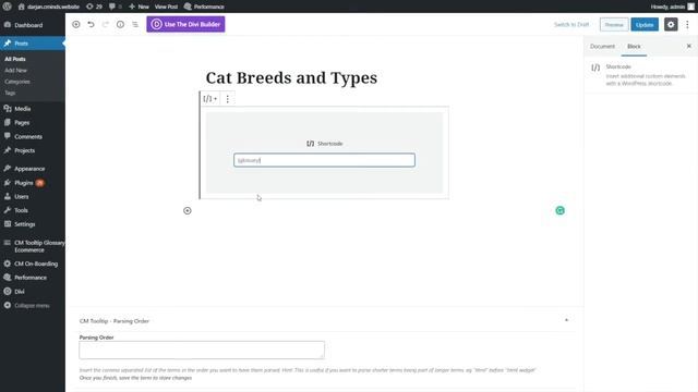 Using Tooltip Glossary Plugin With DIVI Page Builder | WordPress смотреть онлайн