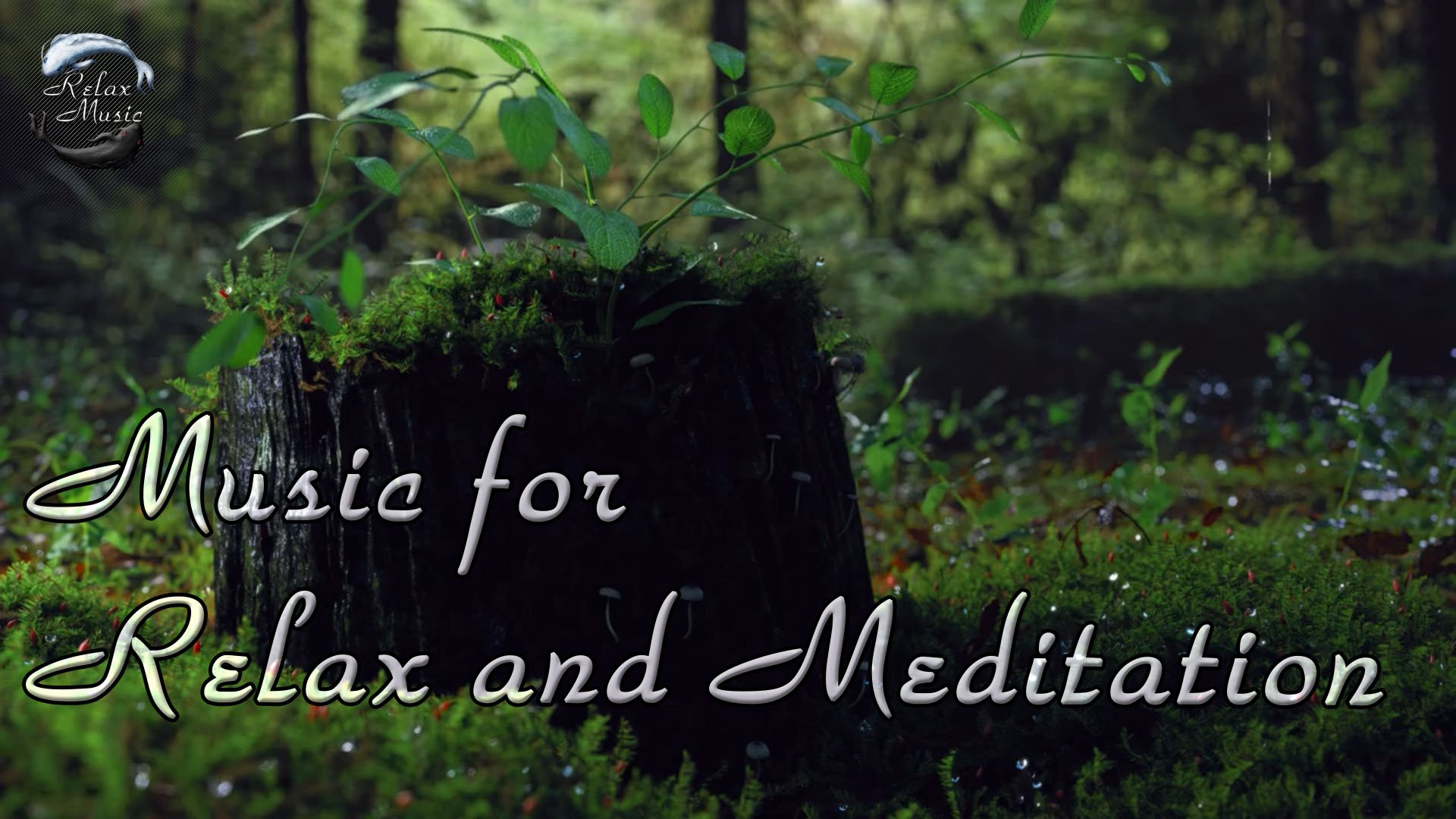 Расслабляющее фортепиано и шум дождя | Музыка для медитации и устранения стресса смотреть онлайн