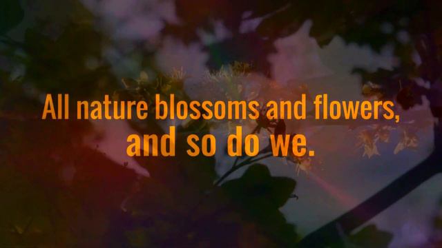 BELTAINE BLESSING 2023 🌞Solar Festival mashUp смотреть онлайн