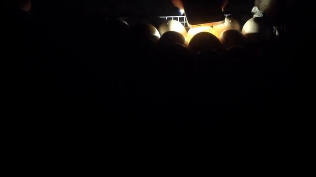 Овоскопирование яиц. Совет для начинающих смотреть онлайн